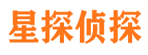 华宁市调查公司